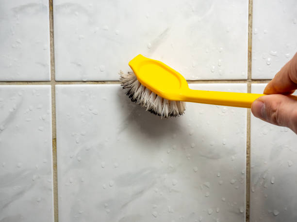 Best Emergency Mold Removal  in Kountze, TX