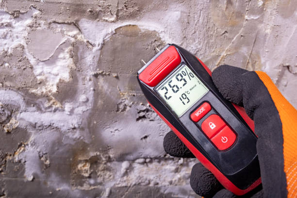 Mold Removal Process in Kountze, TX