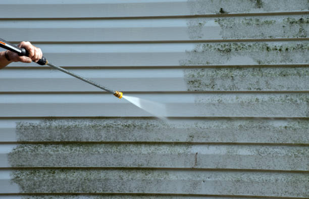 Best Local Mold Removal Service  in Kountze, TX
