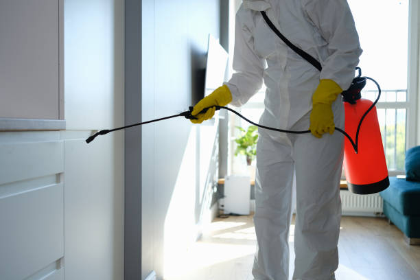 Best Crawl Space Mold Removal  in Kountze, TX