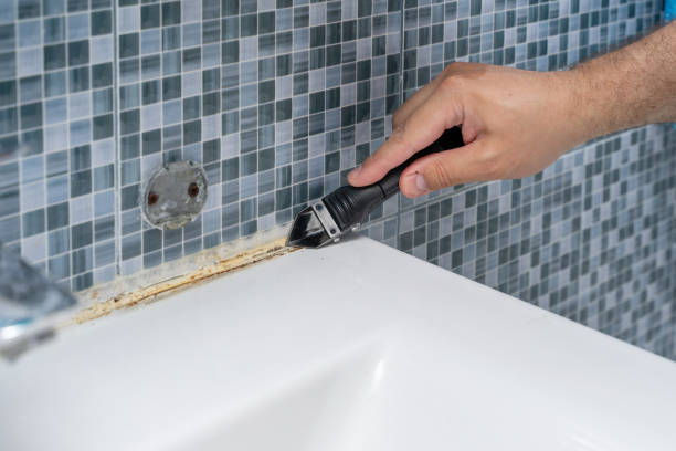 Trusted Kountze, TX Mold Removal Experts