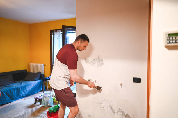 Best Office Mold Removal Services  in Kountze, TX